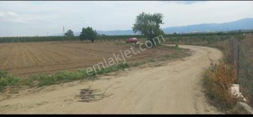 Turgutlu Nurcan Emlak'tan 7.mıntıka 4.900 M² Tek Tapu Tarım Arazisi Satılıktır.