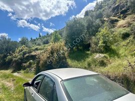 Bozdoğan Kızıltepe Satılık Tarla