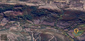 C21 Loca'dan Balya Bengiler'de Harika Doğa Manzaralı Arazi