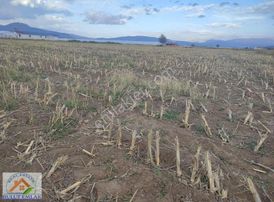 Bulut Emlak Burdur Gölhisarda 15 Dönüm Yatırımlık Satılık Tarla
