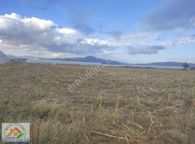Bulut Emlak Burdur Gölhisarda 15 Dönüm Yatırımlık Satılık Tarla