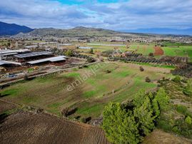 18 Dönüm Yola Cepheli Verimli Tarla