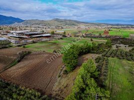 18 Dönüm Yola Cepheli Verimli Tarla