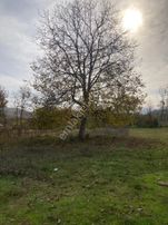 Sahibinden Satılık Tarla