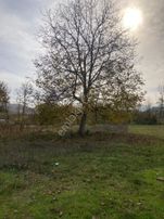 Sahibinden Satılık Tarla