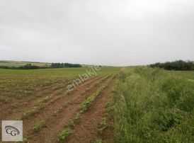 Çatalca-ovayenice'de Satılık 15,2 Dönüm Tarla
