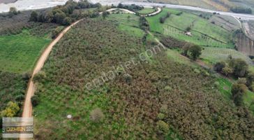 Karasu Hürriyet Mahallesi Satılık Tarla. 5 Dönüm Enfes Konum