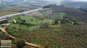 Karasu Hürriyet Mahallesi Satılık Tarla. 5 Dönüm Enfes Konum