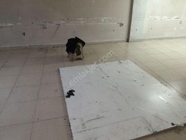 Kiralık İşyeri Bodurum Sultangazi Cebeci Mah Kartal Emlaktan