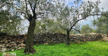 Zeytinli-kızılkeçili Arası Orman Deposu Altı 712m² Müstakil Parsel