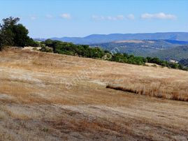 Asfalta Cephe Sondajı Olan 33.000m2 Müstakil Tapulu Tarla