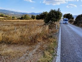 Asfalta Cephe Sondajı Olan 33.000m2 Müstakil Tapulu Tarla