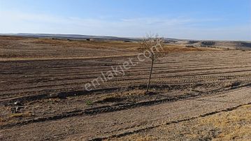 Taşpınar Gayrimenkulden Taşpınar/yavuzselim'de Satılık Tarla