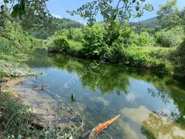 Burhan Ardıç'tan Mustafakemalpaşa Kestelek Dere Kıyısı 1.225 M2