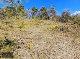 Burhan Ardıç'tan Mustafakemalpaşa Soğukpınar 9800 M2 Arazi