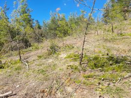 Burhan Ardıç'tan Mustafakemalpaşa Soğukpınar 9800 M2 Arazi