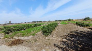 3ev Emlak'tan Gülbahçesi Mahallesinde 7 Dönüm Satılık Tarla