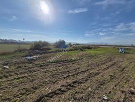 Erkan Anbar Dan Satılık Anayola Sıfır Tarla Suluova