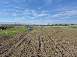 Erkan Anbar Dan Satılık Anayola Sıfır Tarla Suluova