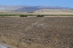 Fiyatlar Düştüüü Çok Acil Gedikli' Mah. 32.164m2 Hisseli Tarla