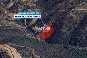 Alanya Çamlıca'da 15.073 M² Satılık Tarla