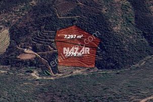 Alanya Çamlıca'da 15.073 M² Satılık Tarla