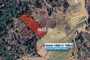 Alanya Başköy'de 1.693 M² Satılık Tarla