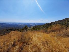 Mirzaobada Yatımlık 10.851 M2 Satılık Tarla