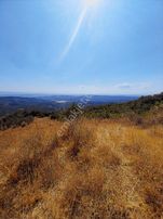 Mirzaobada Yatımlık 10.851 M2 Satılık Tarla