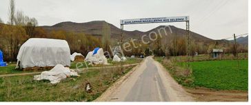 Sahibinden Konya Beyşehir Damlapinar Mustakil Sahibinden