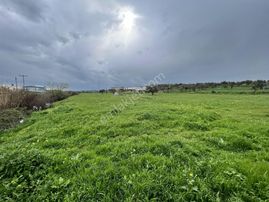 Balıkesir Ayvalık Ta Satılık 46 Donum Arsa.anayola 2. Parsel.