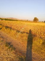 Sahibinden Satılık Tarla Sudan Ucuz