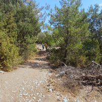 Bursa Keles Yatırımlık Tarla