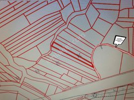 19- Şeker Emlak Satılık 2.900 M2 Osb Karşısı Hobi Bahçesi