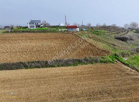 Yuvam Arsa Ofisin'den Adapazarı Karadere'de 1560mt Tek Tapu Arsa