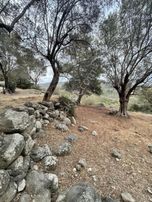 Eğridere De Harika Konum