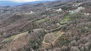 Tarcanlardan Sapanca Nailiye'de 9 Dönüm Satılık Bahçe