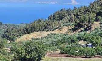 Gündoğdu'da Deniz Manzaralı Tek Tapu Tarla