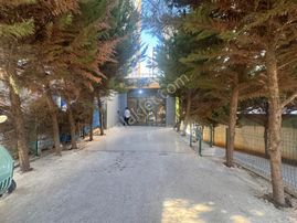 Yenişehir Çiftlikköy Eşyalık Satılık 1+1 Daire