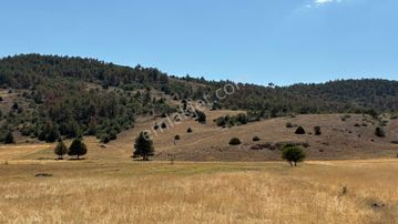 Sahibinden Plaja Cephe Fırsat Çiftlik Arazisi!