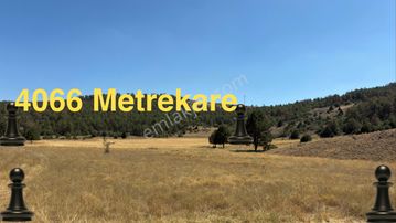 Sahibinden Plaja Cephe Fırsat Çiftlik Arazisi!