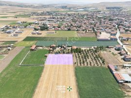 Afyonkarahisar Susuz Bölgesinde Yatırımlık Müstakil Tarla!