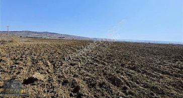 Semih'den Çayırda Şehrin Dibinde Gelecek Vaad Eden Arazii