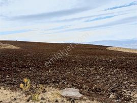 Elazığ Merkez Beyyurdu Üstü Satılık Tarla