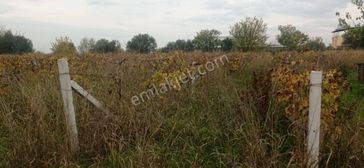 Karaçay Mevkiinde Satılık Bağ Tarla