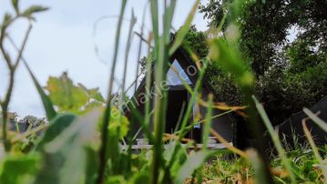 Aciliyeti Sebebi İle Fiyat Dip Rakam Tek Tapu Bahçe Ve Bunglow