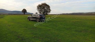 Çatalağıl Mahallesi Satılık 6.100 Mt2 Tek Tapu Müstakil Tarla