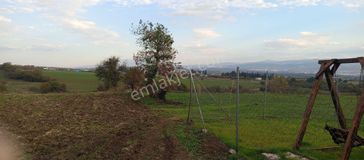 Çatalağıl Mahallesi Satılık 6.100 Mt2 Tek Tapu Müstakil Tarla