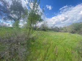 🟨🟨aktif'ten Sübeylidere'de Harika Konumda 10.200m2 Satılık Zeytinlik 🟨🟨