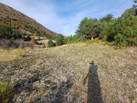 Bolu Mudurnu Dereköy Satılık Yatırımlık Fırsat Uygun Tarla